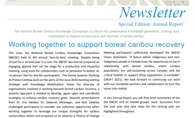 Newsletter cover page