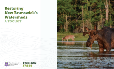 Cover page of report