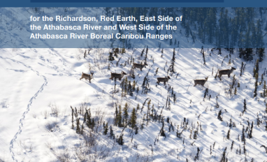 Cover page of report