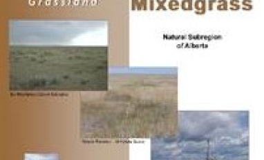 Dry Mixedgrass Report