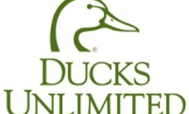 Ducks Unlimited Inc.