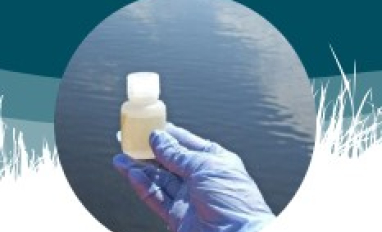 Wetland water sample