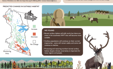 infographic thumbnail