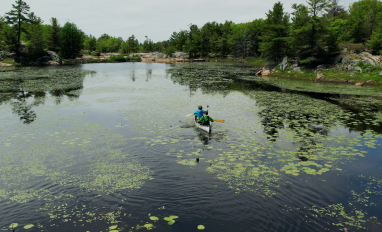 Paving over Paradise 