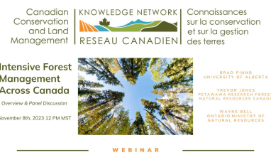 Intensive Forest Management