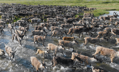 Breathing Lands - Water Brothers
