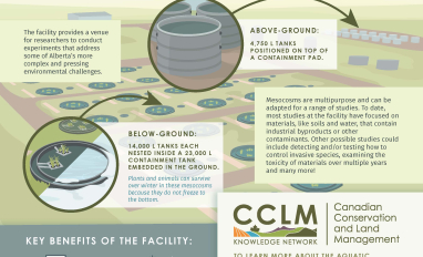 CCLM_Mesocosms_Final