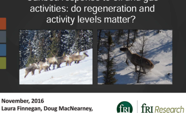 caribou response finnegan.png 