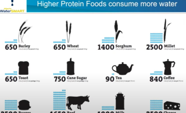 sturgess water security.png