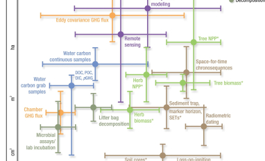 Figure from Practical Guide to Measuring Wetland Carbon Pools and Fluxes