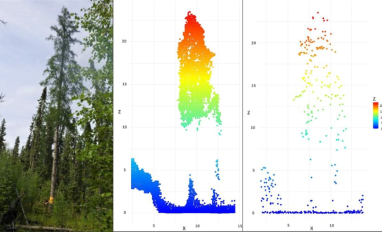 Field, LiDAR and TiTAN measured tree heights