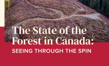 Cover page of report