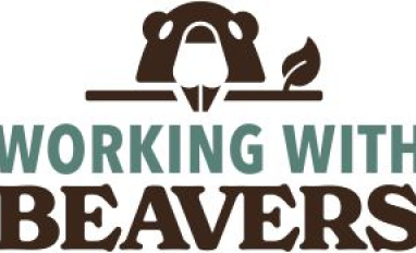 Working With Beavers Logo
