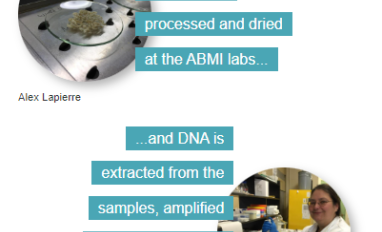 ABMI e-DNA