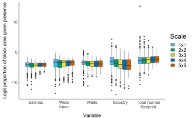Effect of disturbance type and scale