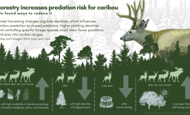 infographic thumbnail