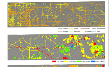 Vegetation recovery on seismic lines