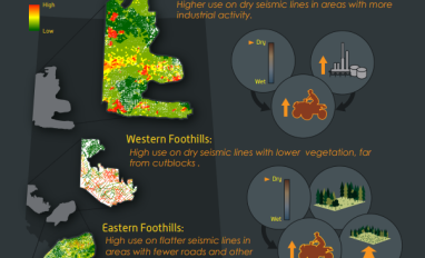Motorized Activity on Legacy Seismic Lines Infographic