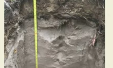 Anthroposol soil profile