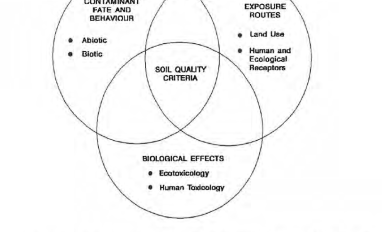 Contamination soil quality criteria