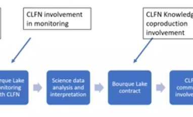 Knowledge co-production process