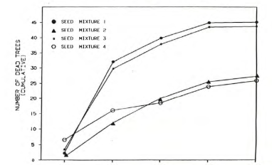 Lodgepole pine mortality at Judy Creek