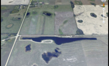 Reclaimed land at Diplomat Mine