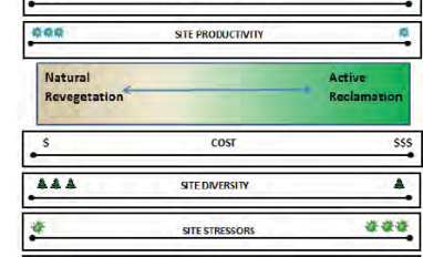 Revegetation Factors