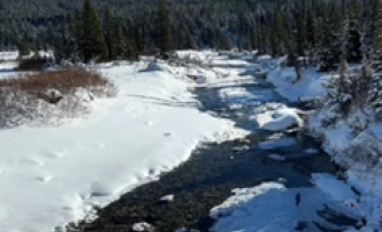 Headwaters stream