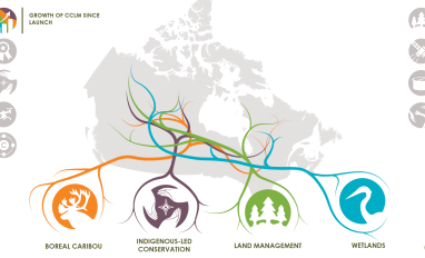 map of canada showing colourful roots interlocking overtop