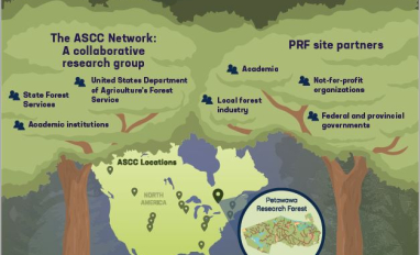 Image of the first page of the knowledge product descripting the adaptive silviculture network.