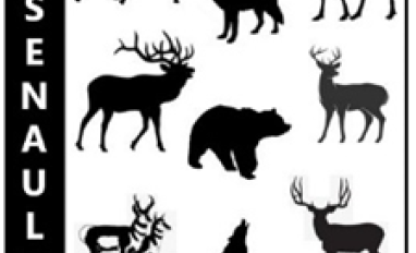 Canadian megafauna silhouetted with Arsenault Wildlife Services text