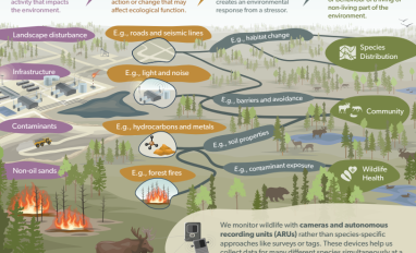 Oil sands monitoring