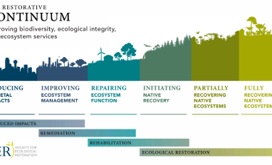 SER Restoration Continuum
