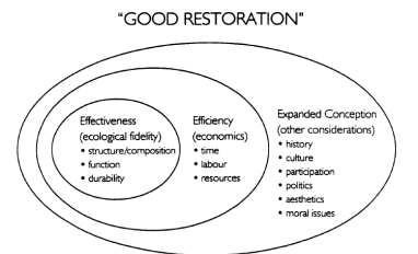 An expanded definition of good restoration