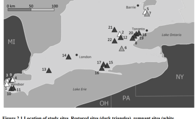 Cray thesis study sites