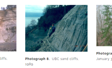 Polster - UBC Cliff reclamation