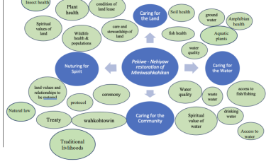 Restoration of Mimiwsahkahikan