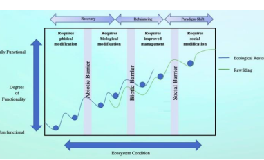 Restoration vs. rewilding