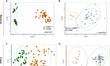 Bacterial and fungal communities in reclaimed tailings