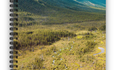 Yukon Wetland Field Guide Cover