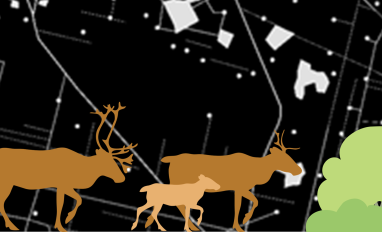 Graphical images of three caribou walking in front of a map depicting anthropogenic disturbance.