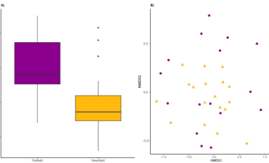 Diversity of benthic invertebrates