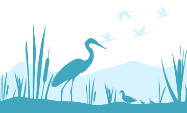 CCLM Wetlands placeholder