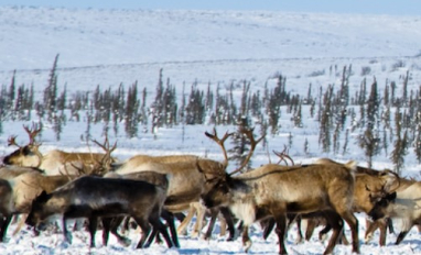 Community KnowledgeKeeper