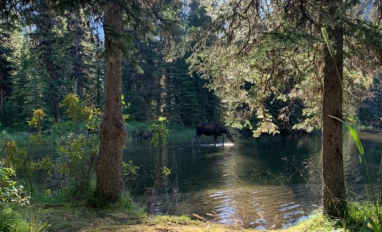 Groundwater-dependent wetlands