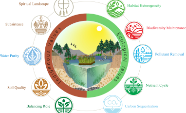 Figure 1 An illustration of indigenous and ecological values of treatment wetlands