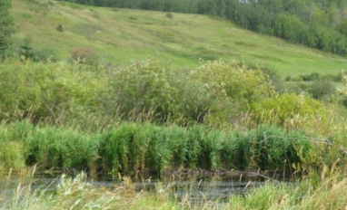 SALMTEC ABWRET Course