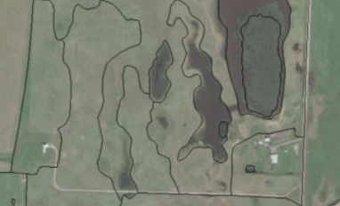 SALMTEC Wetland Delineation Course