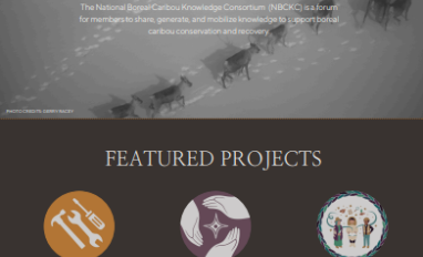 Newsletter cover page